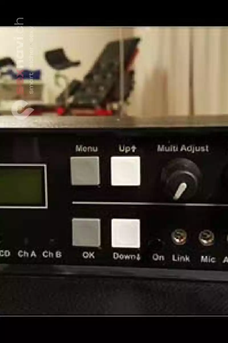 Villa Viktoria Villa Viktoria Basel