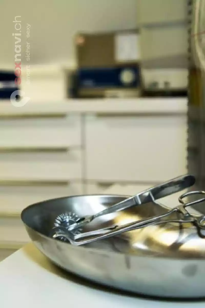 Villa Viktoria Villa Viktoria Basel