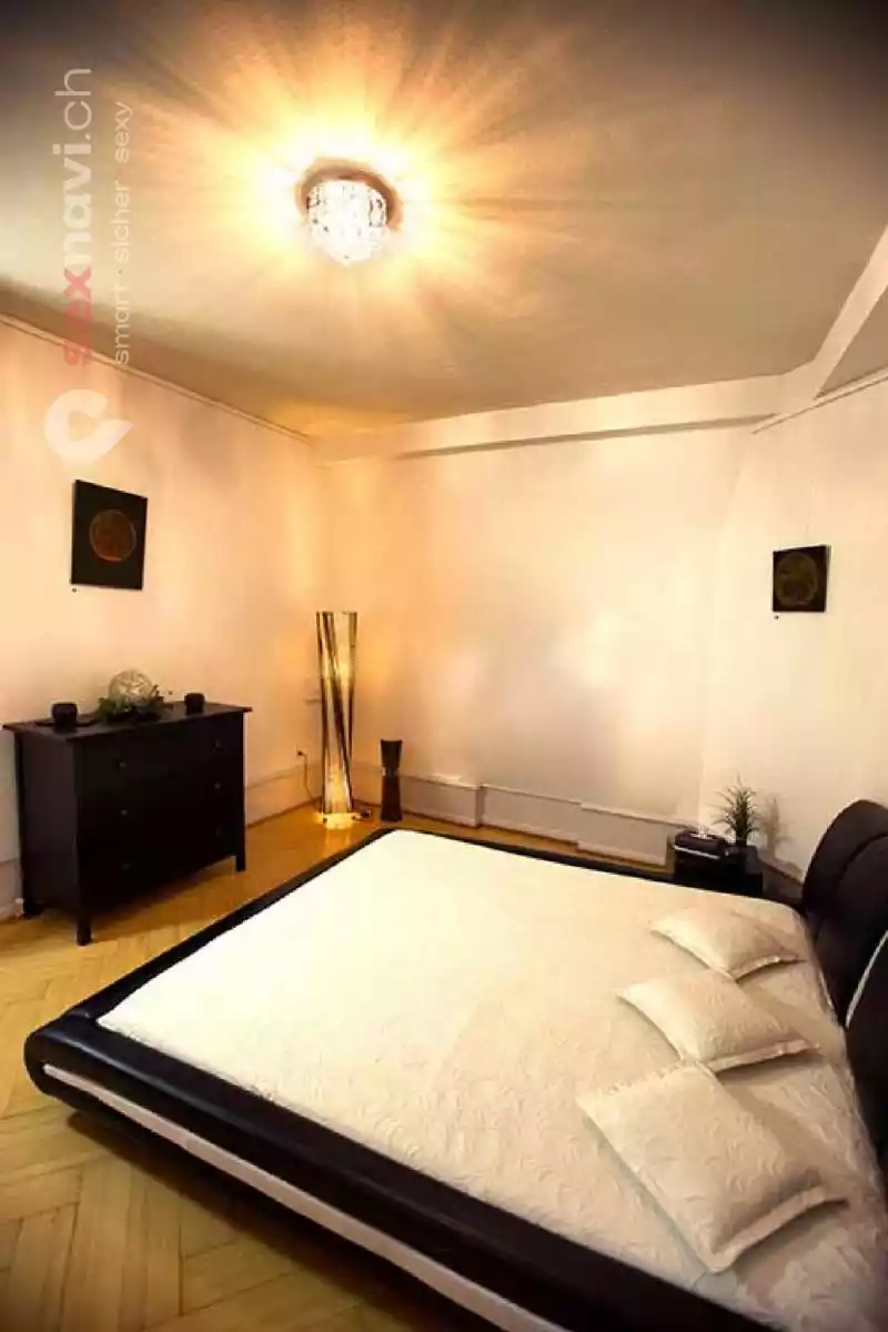 Villa Viktoria Villa Viktoria Basel