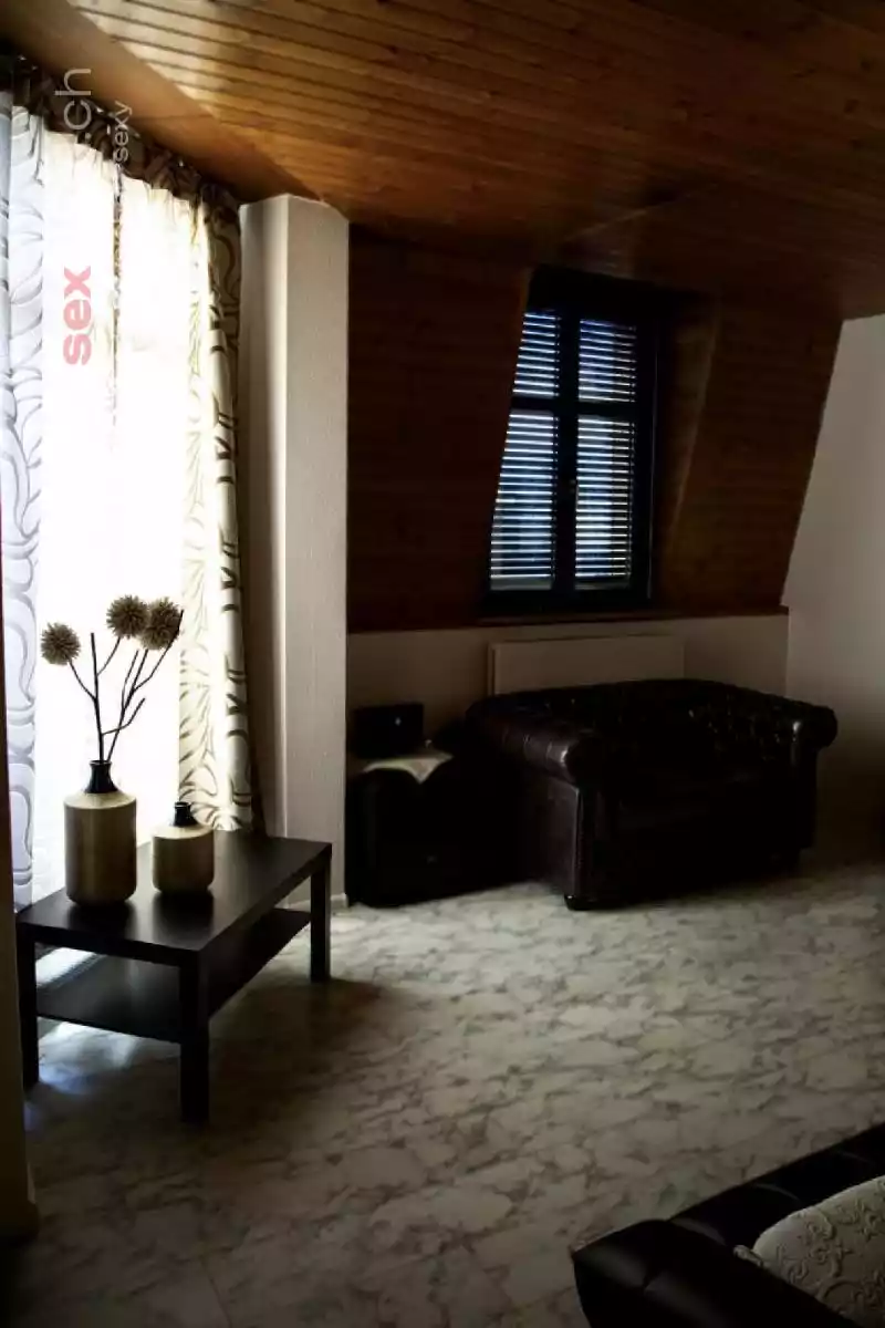 Villa Viktoria Villa Viktoria Basel