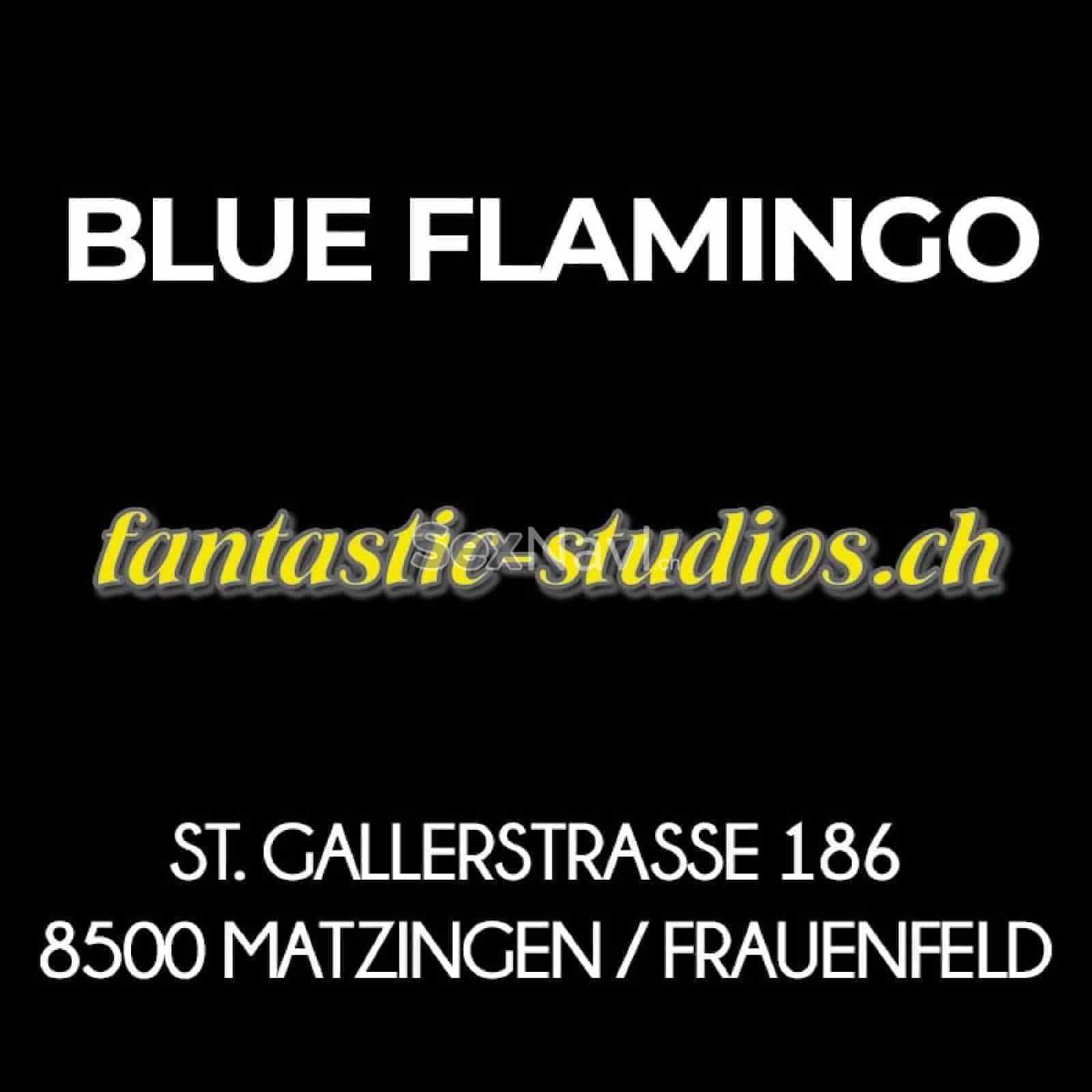 Blue Flamingo Blue Flamingo Thurgau