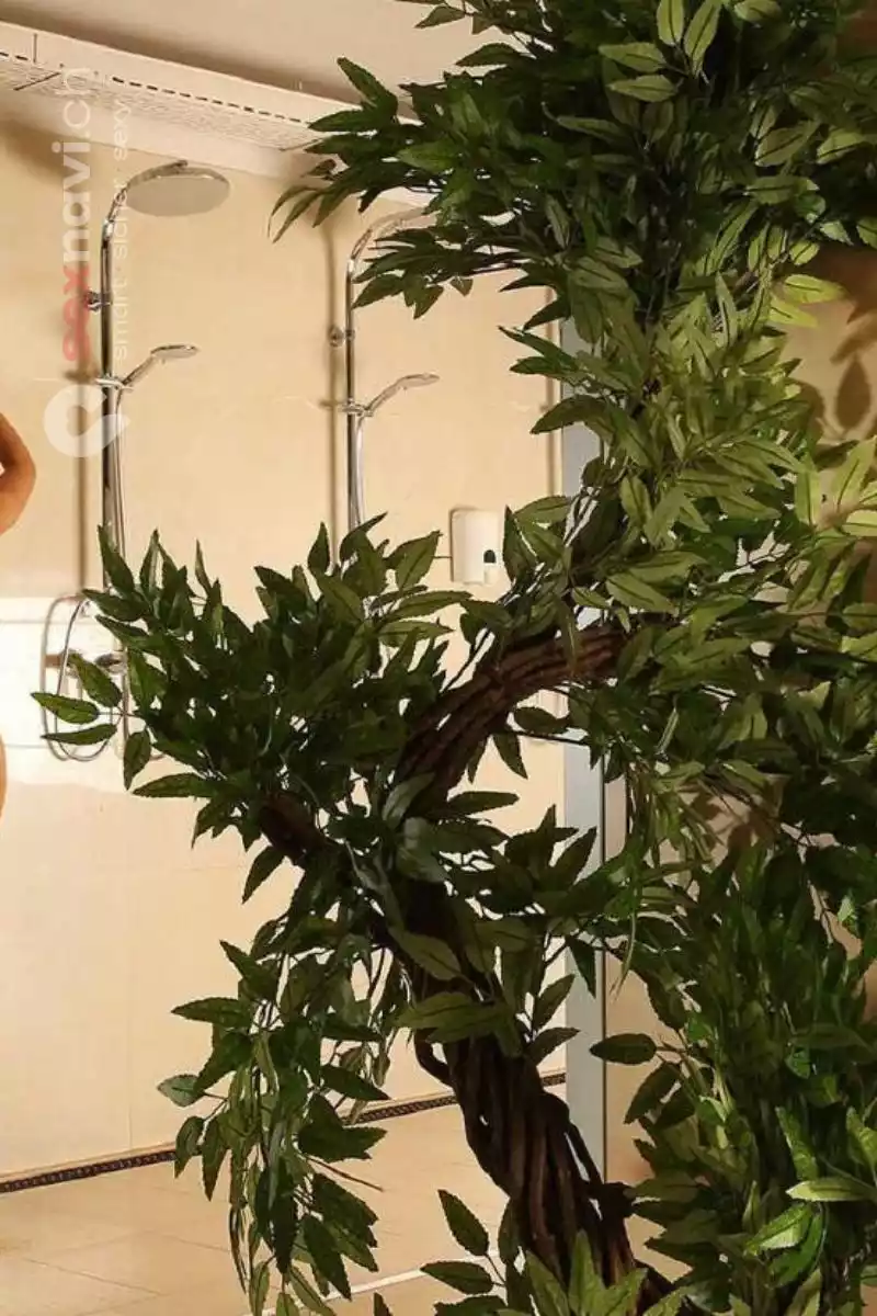 Club Olymp Club Olymp Solothurn