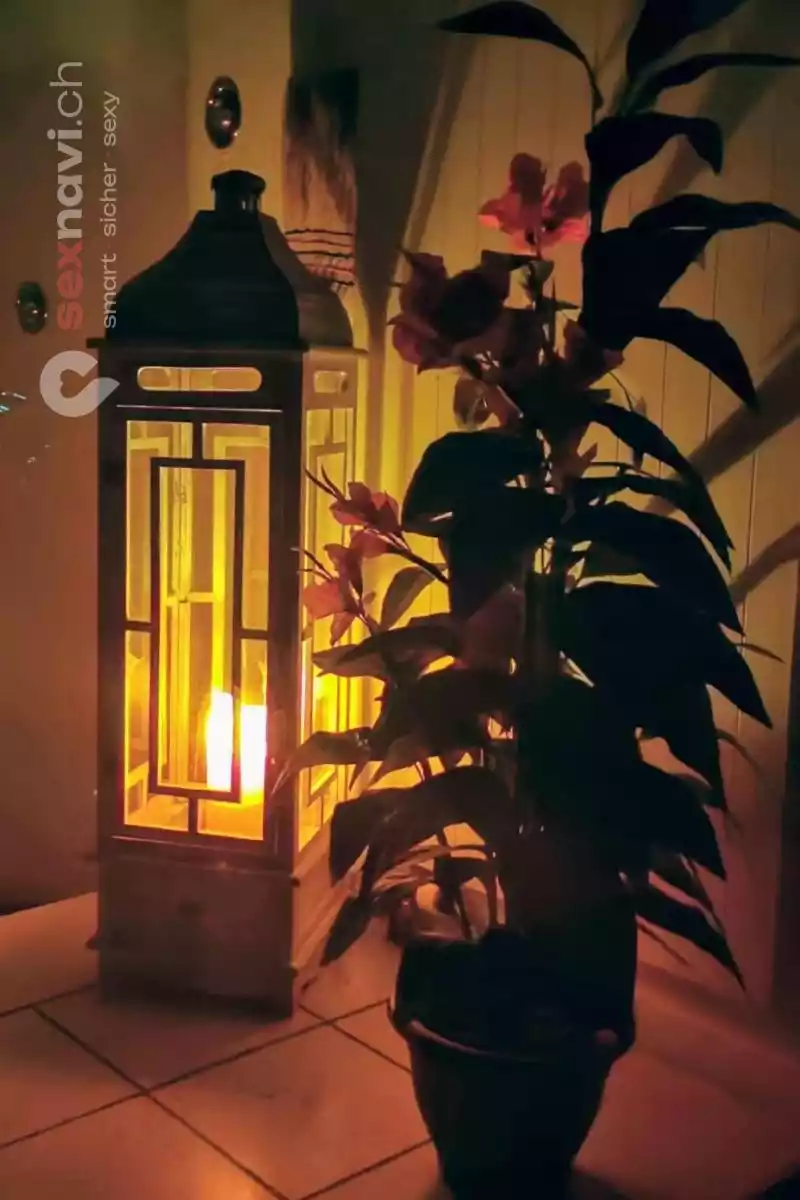 Tantra Paradies Tantra Paradies Bern Umgebung