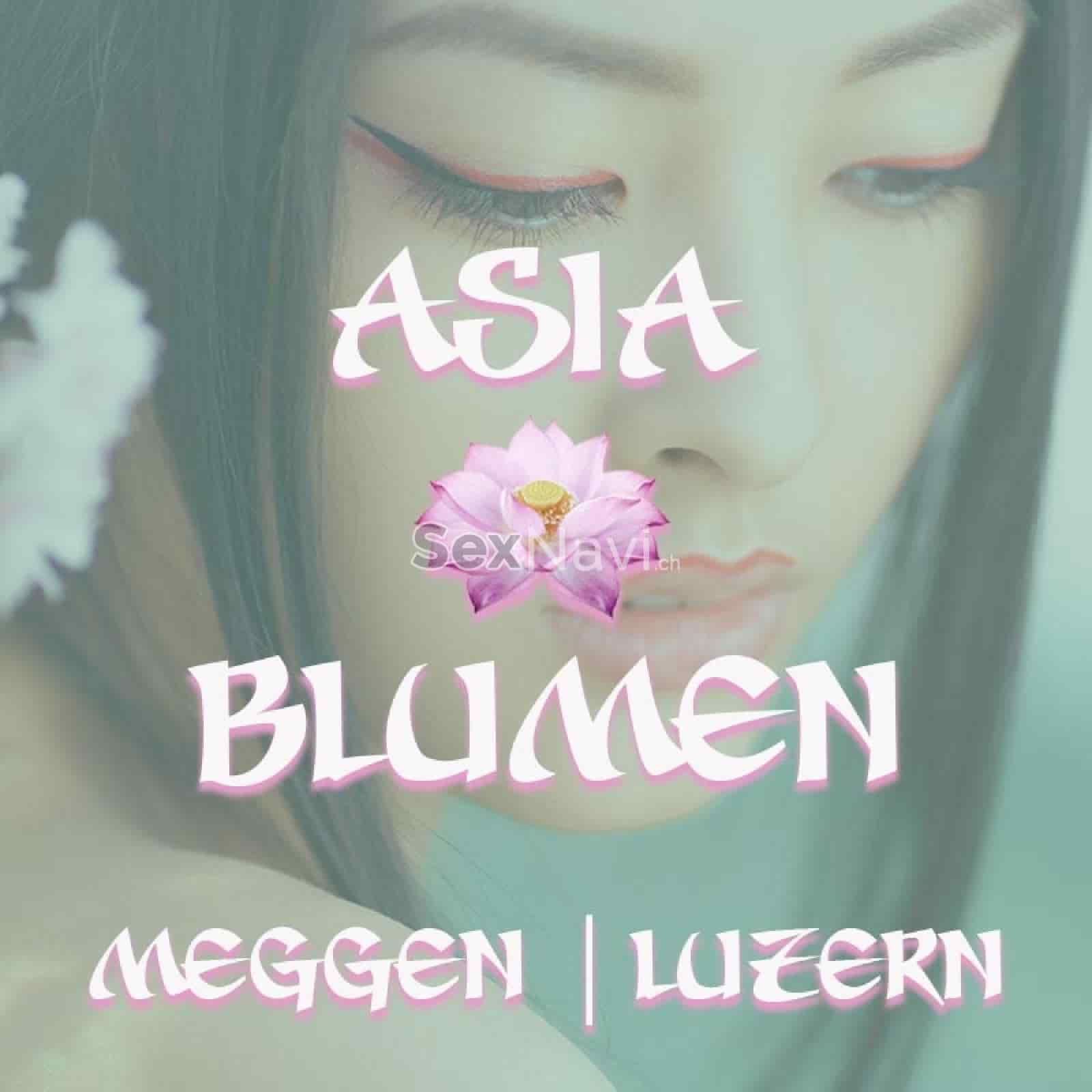 Asia Blumen Asia Blumen Luzern