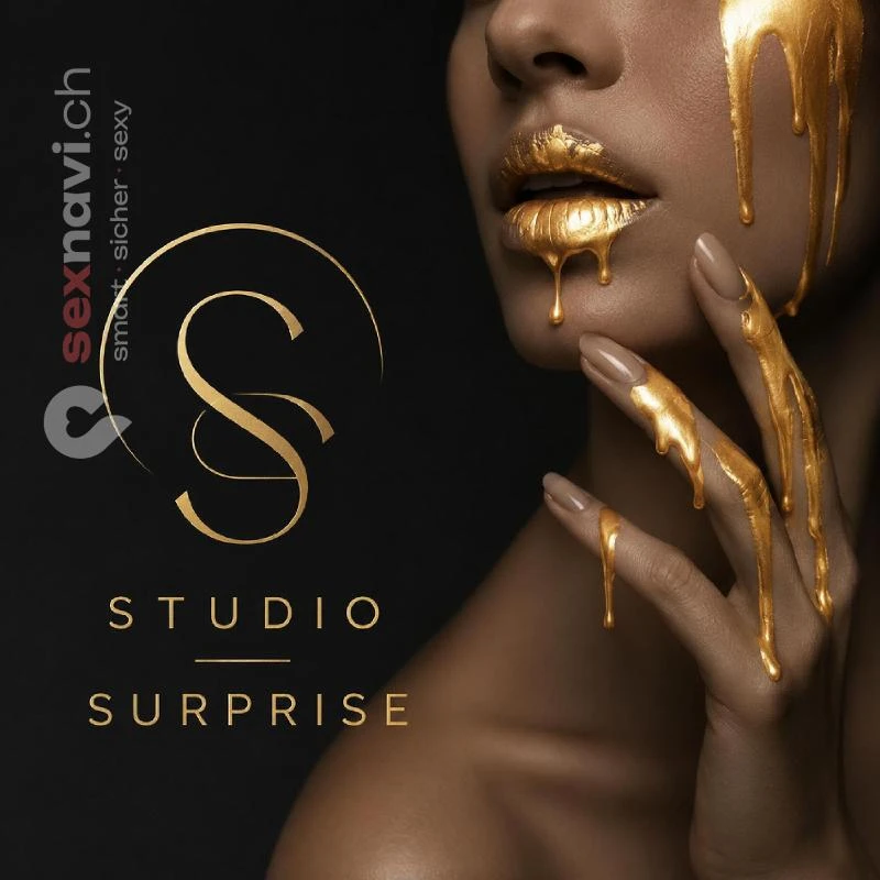 Studio SURPRISE Studio SURPRISE Bern Stadt