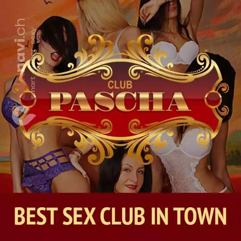 Club Pascha Club Pascha Zürich Stadt