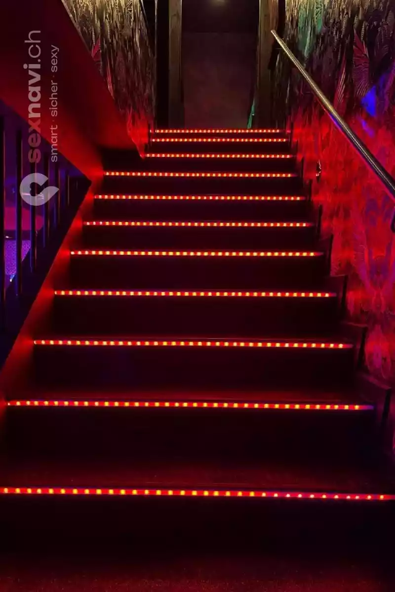 Holiday Bar Holiday Bar St.Gallen