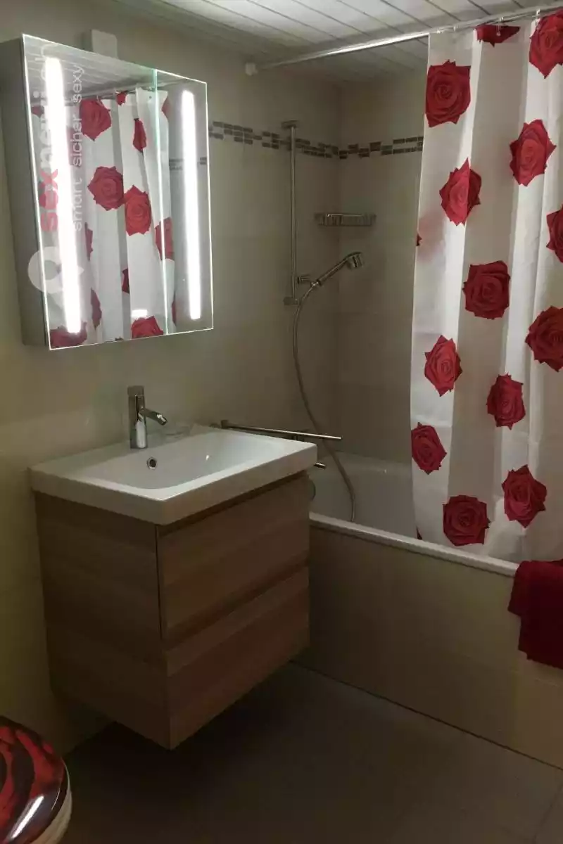 Red Roses 1. OG Red Roses 1. OG Bern Umgebung