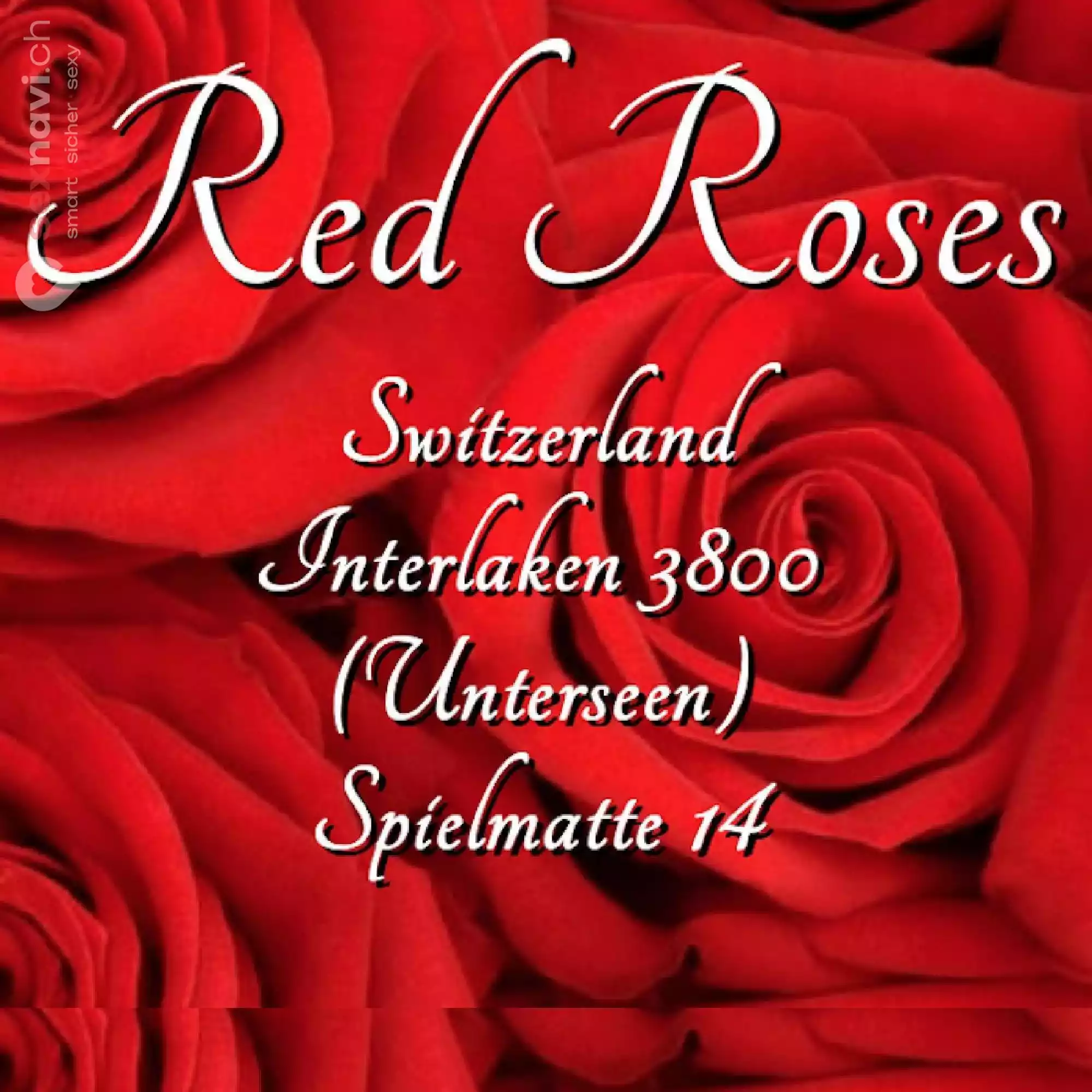 Red Roses 1. OG Red Roses 1. OG Bern Umgebung