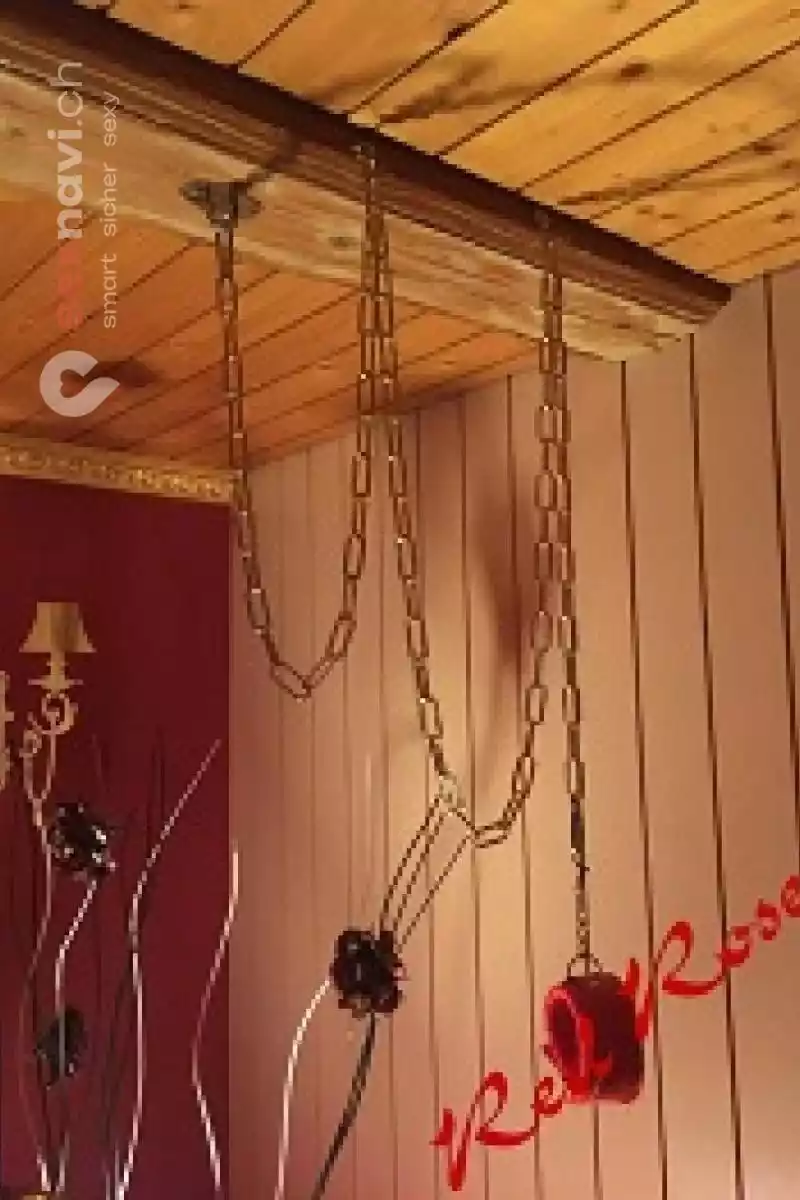 Red Roses 1. OG Red Roses 1. OG Bern Umgebung