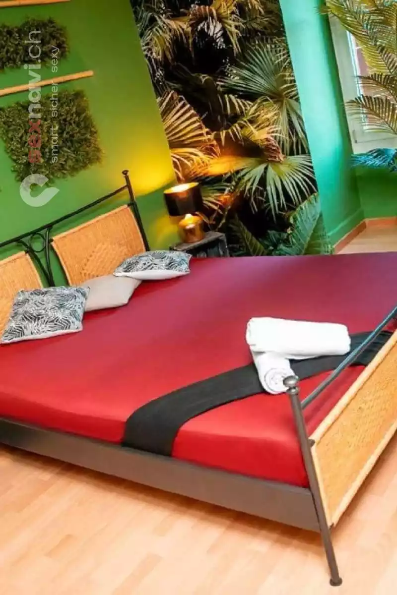 Joy House Joy House Aargau