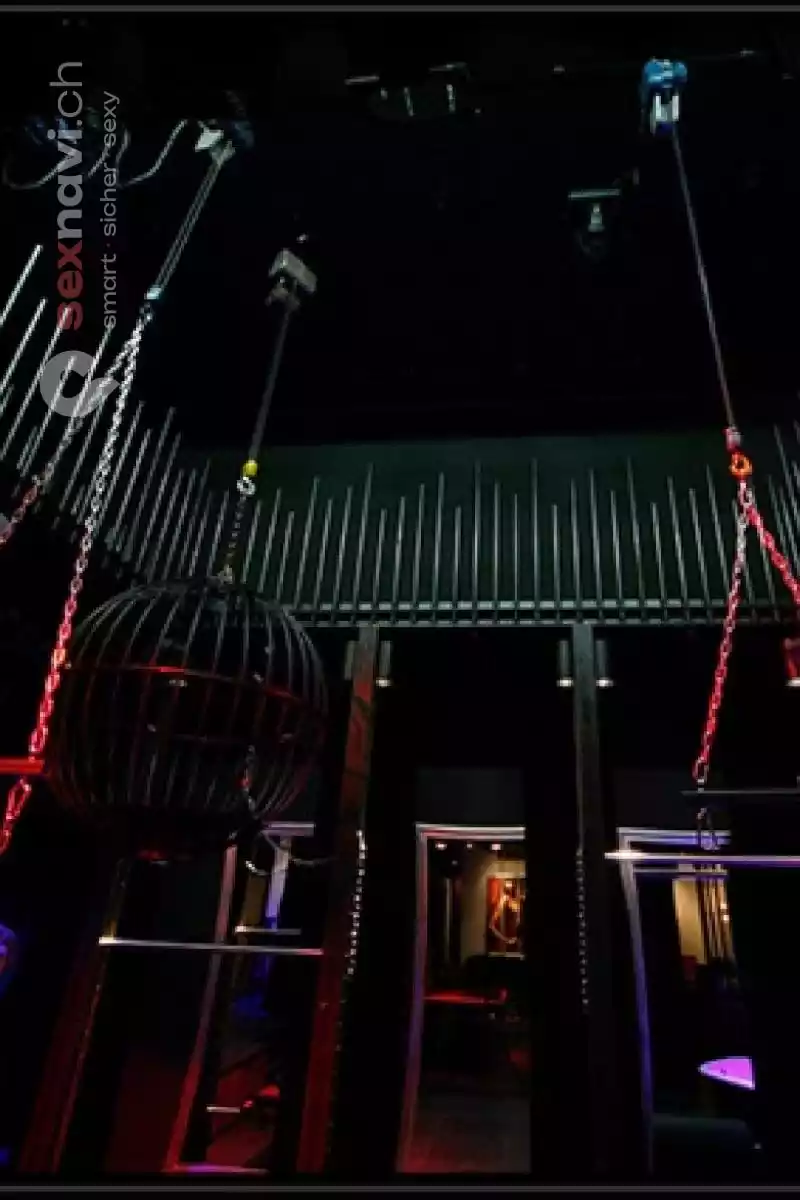 Hotel Bizart Hotel Bizart Zürich Umgebung