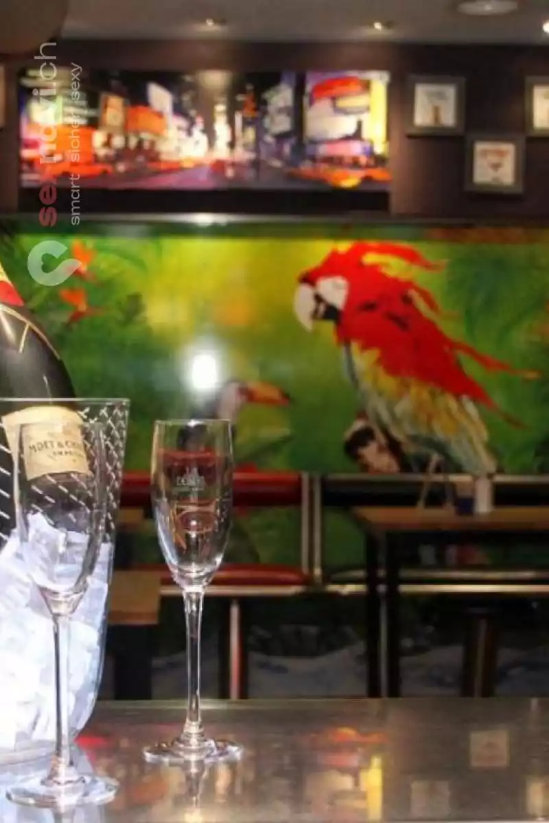 Bar Amazonia Bar Amazonia Zürich Stadt