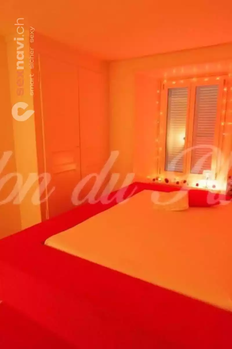 Salon du Plaisir Salon du Plaisir Neuchatel / Neuenburg