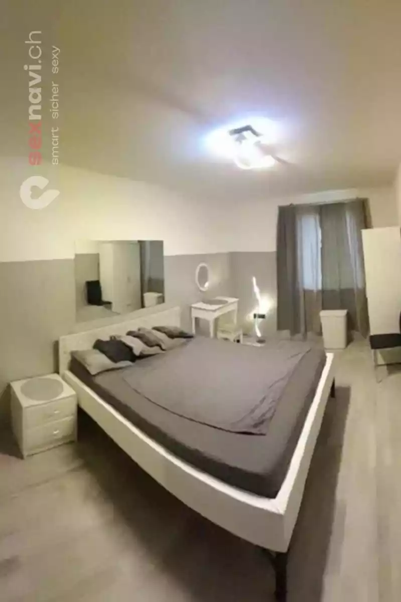 Dream Cats Dream Cats Niederösterreich