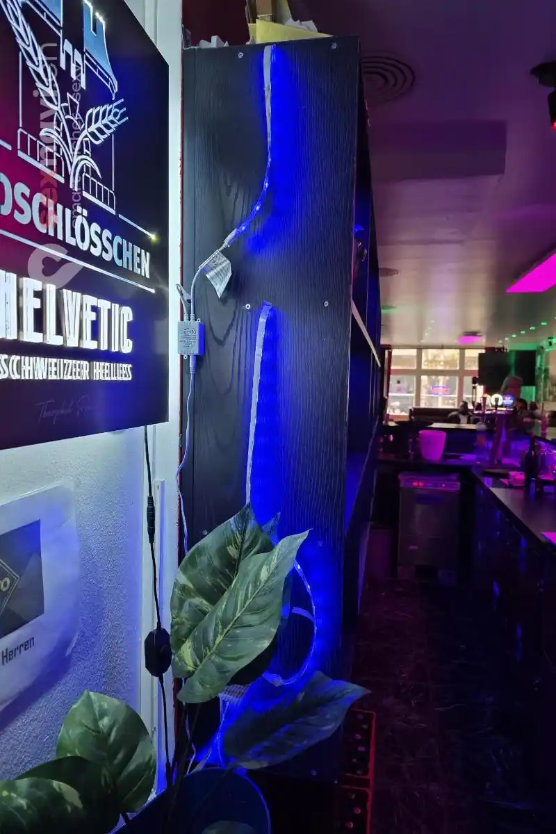 New Grotto New Grotto Basel