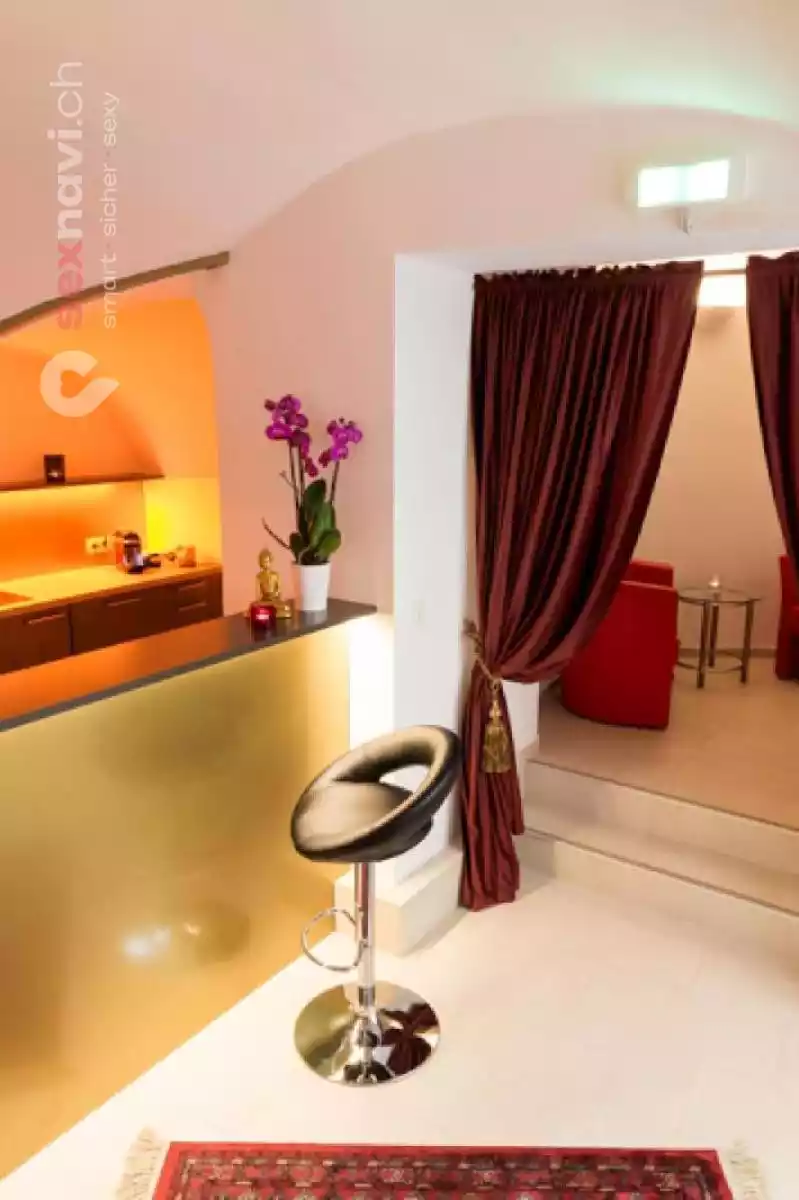 Citystudio Citystudio Wien