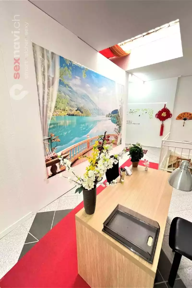 Your Girls Your Girls Basel