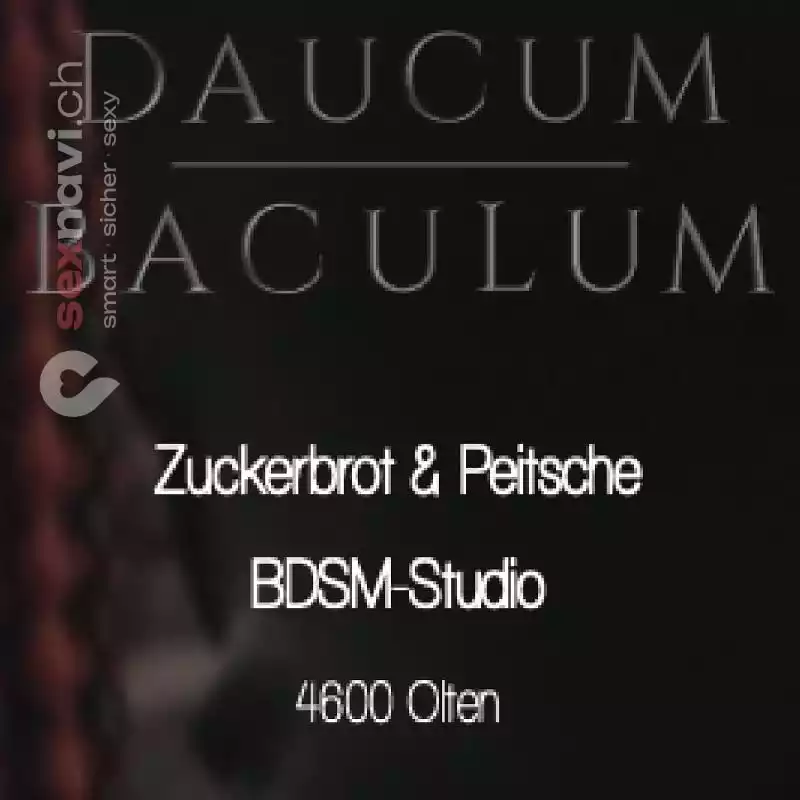 Daucum Baculum Daucum Baculum Solothurn