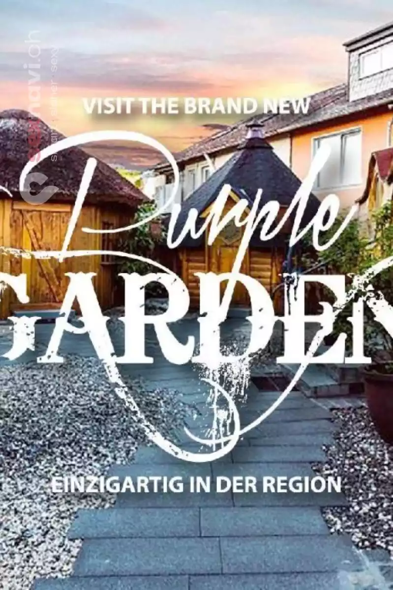 Club Purple Club Purple Rheinland-Pfalz