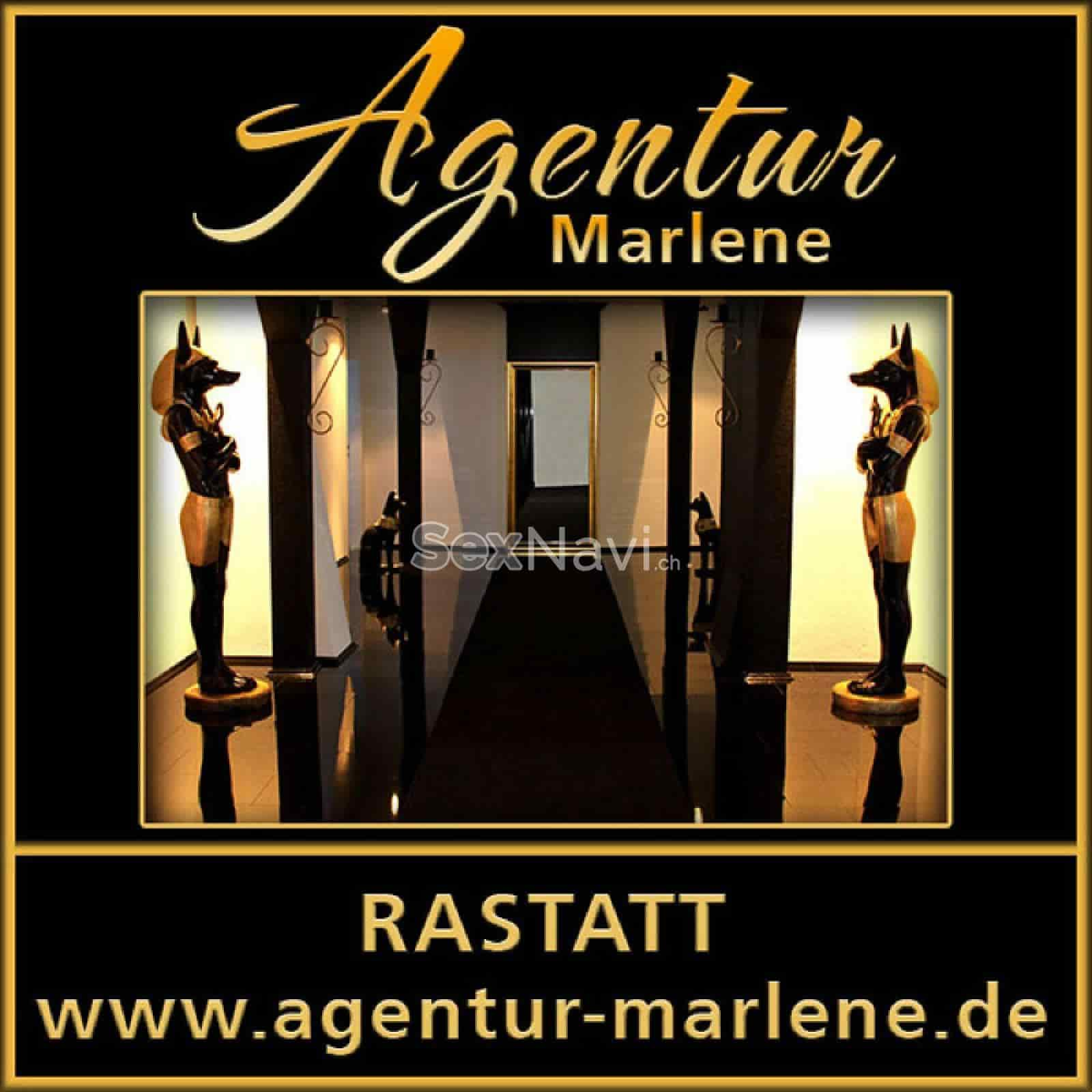 Agentur Marlene Agentur Marlene Baden-Württemberg