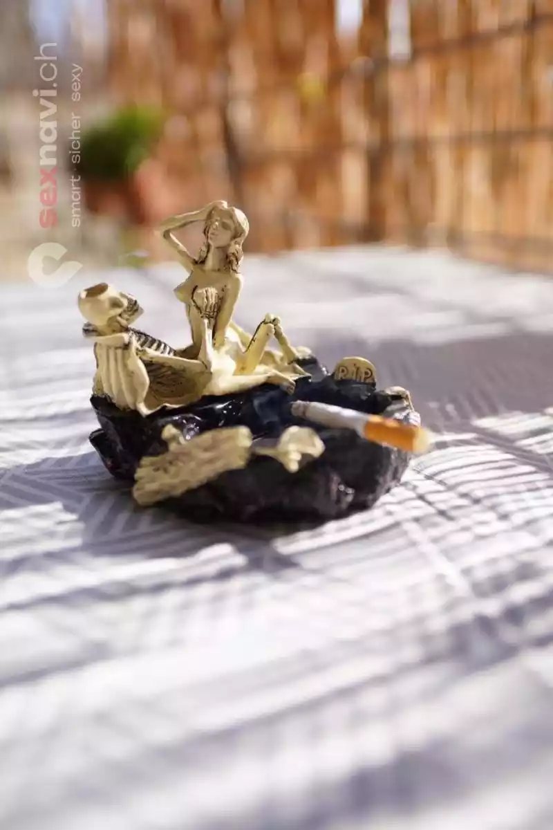 Haus Kitty Haus Kitty Nordrhein-Westfalen