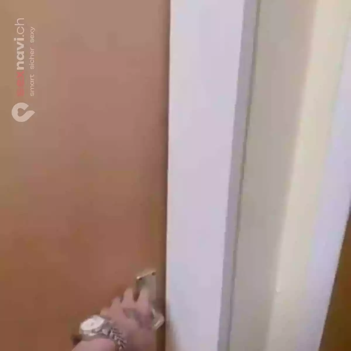 Edelweiss / Sugarbabes Basel Edelweiss / Sugarbabes Basel Basel