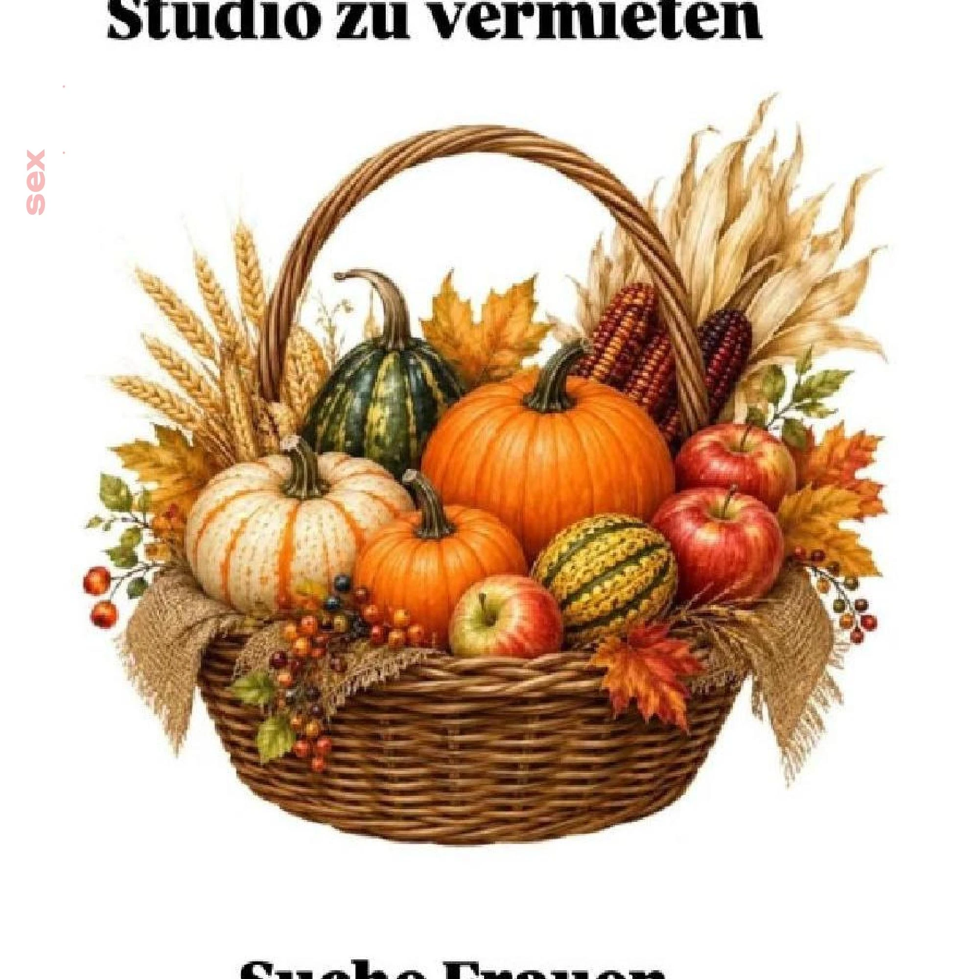 3 Zimmer Studio 3-Zimmer Studio zu vermieten Glarus, Schweiz, N&auml;fels