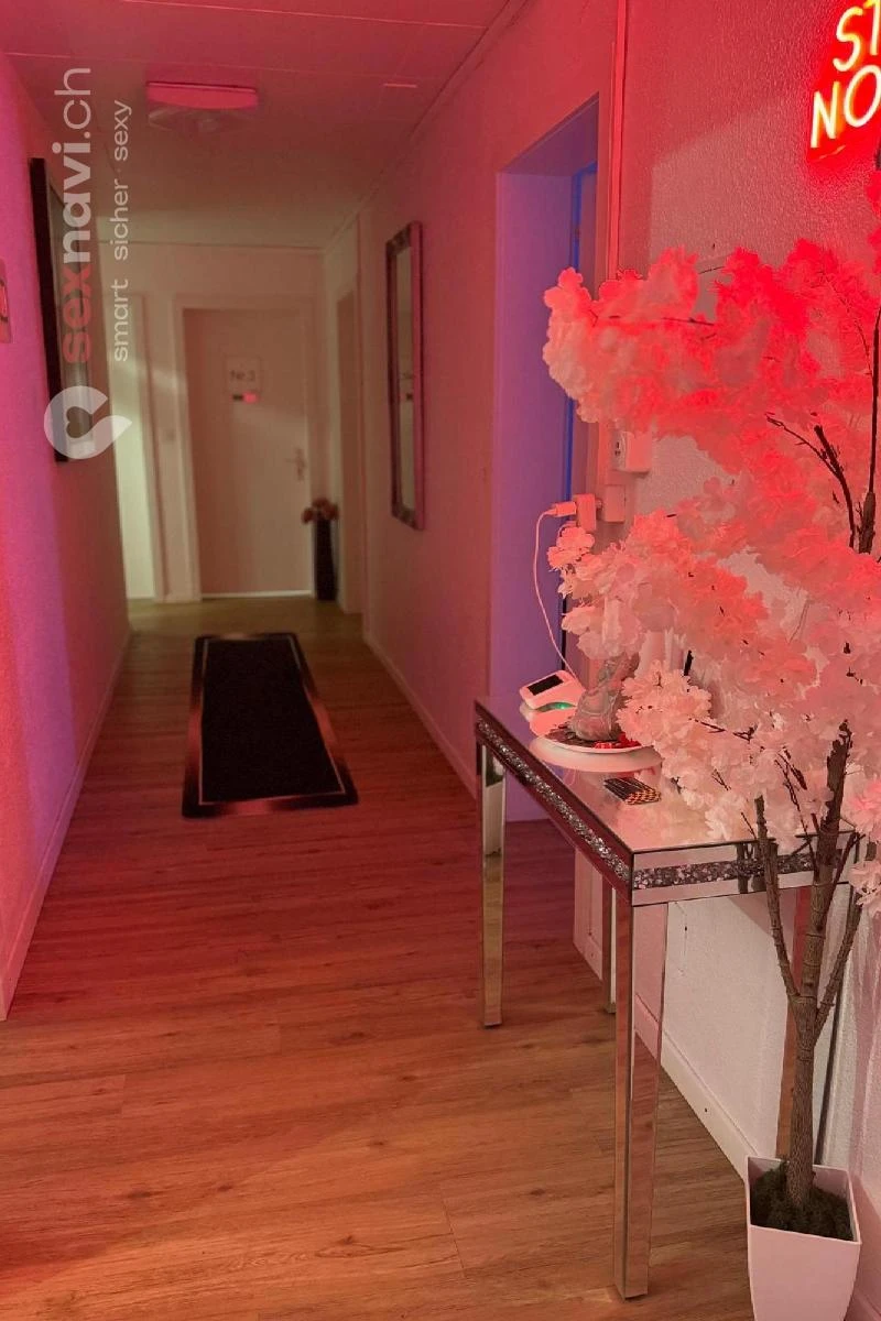 5 Zimmer Studio / SO 120 m2 seit 30 Jahren Oensingen, Schweiz, Solothurn