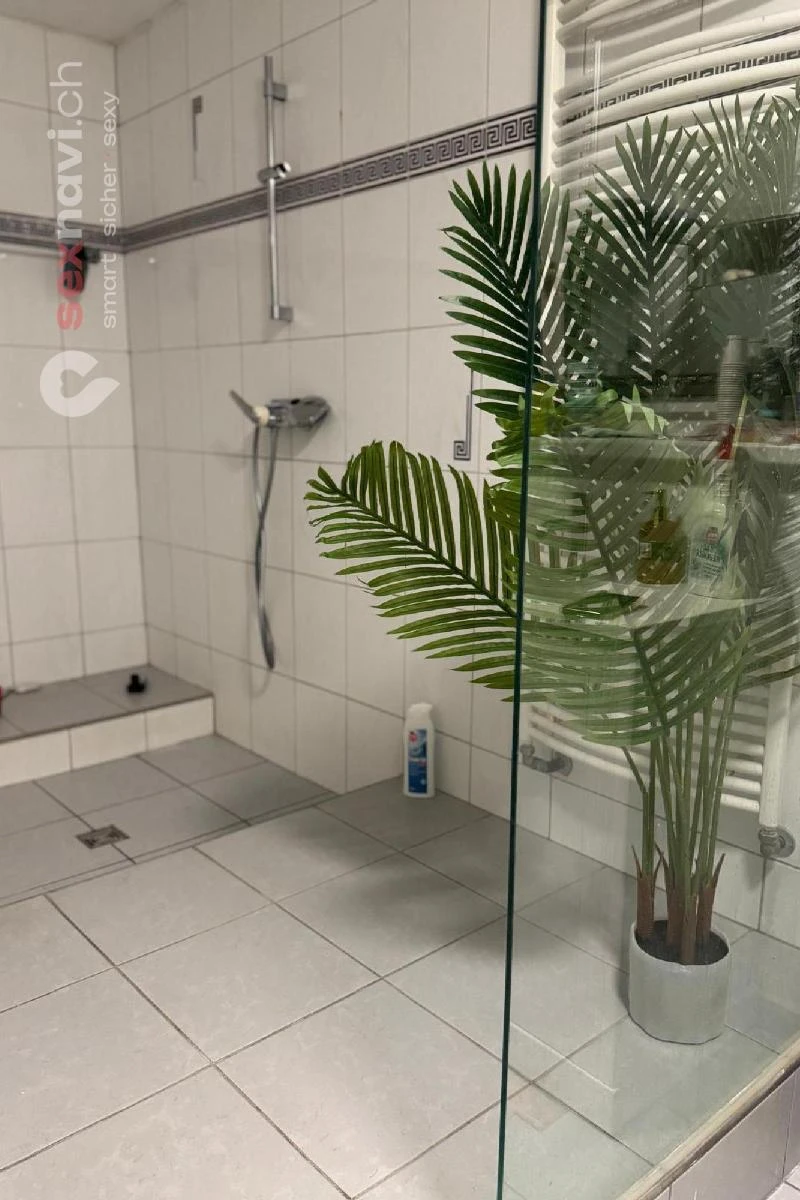 5 Zimmer Studio / SO 120 m2 seit 30 Jahren Oensingen, Schweiz, Solothurn