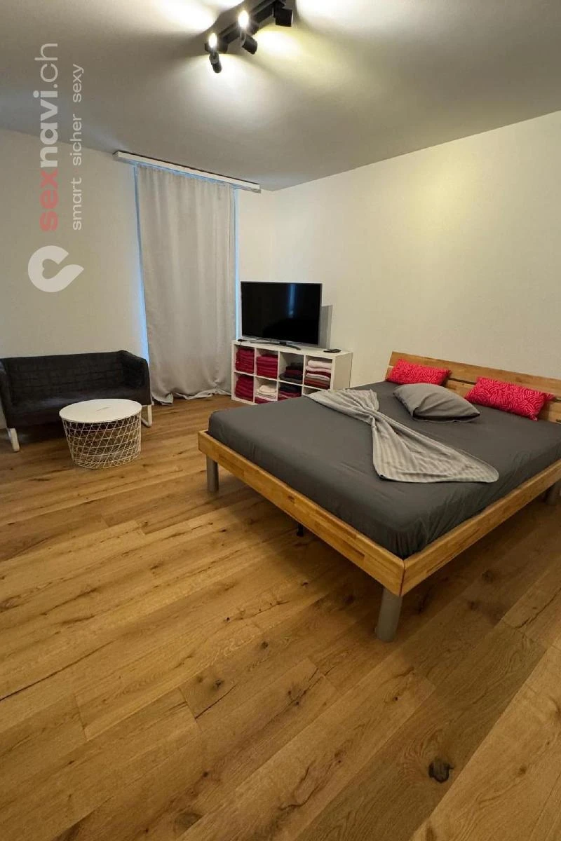 2-Zimmer-Wohnung BS Kernsaniert & m&ouml;bliert Basel, Basel, Schweiz