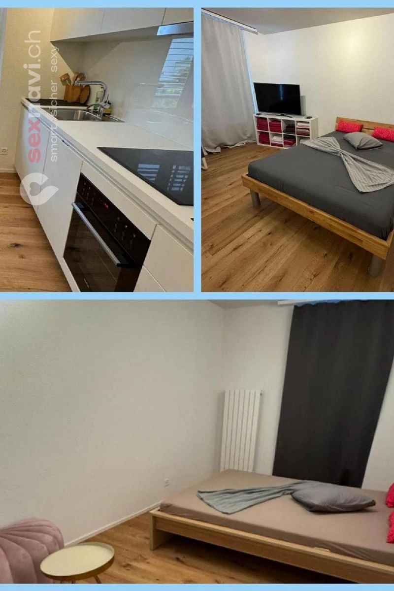 2-Zimmer-Wohnung BS Kernsaniert & m&ouml;bliert Basel, Basel, Schweiz