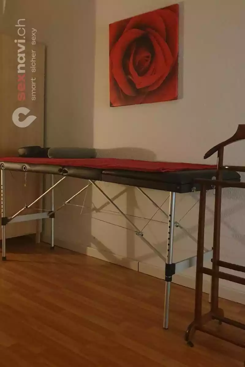 Privat arbeiten BS Vermiete Privatzimmer Basel Basel, Basel, Schweiz