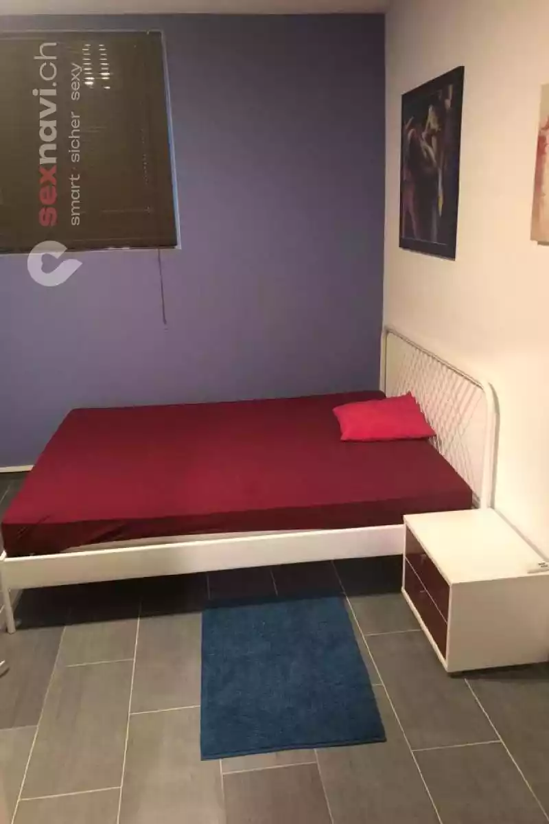 Sankt Gallen Zentrum Schöne eingerichtete Wohnung St.Gallen, Schweiz, St. Gallen