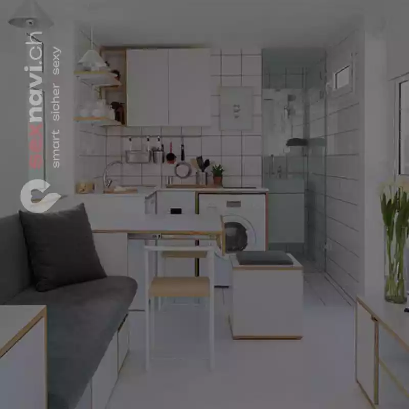 1 Zimmer Apartment 💰💰kompl. möbliert 💰 💰 Basel, Basel, Schweiz
