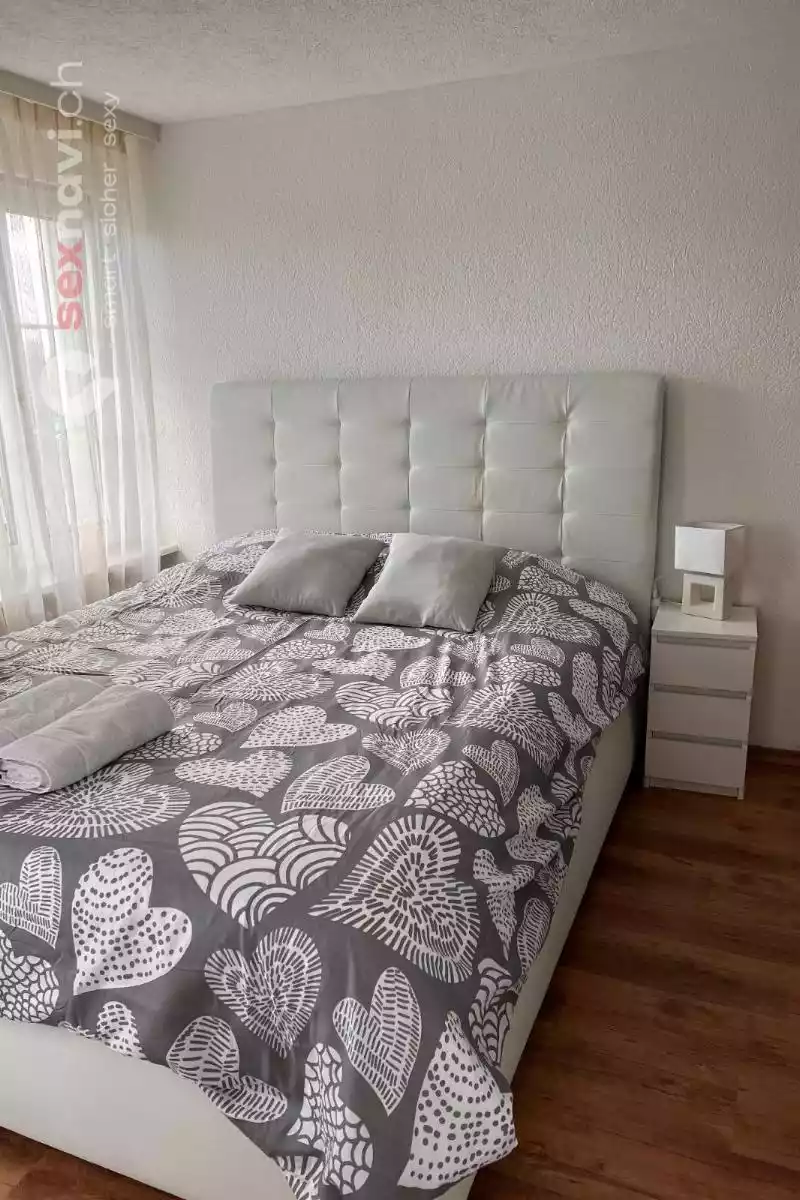 Privat Zimmer Privat Zimmer f&uuml;r Arbeit Basel, Pratteln, Schweiz