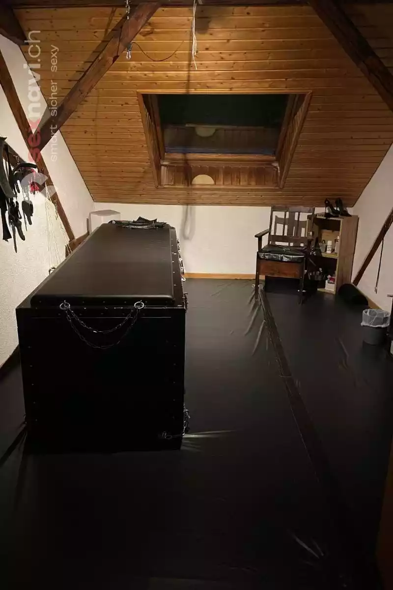 Untermieterin gesu. Stunden / Tageweise Aargau, Schweiz, Hendschiken