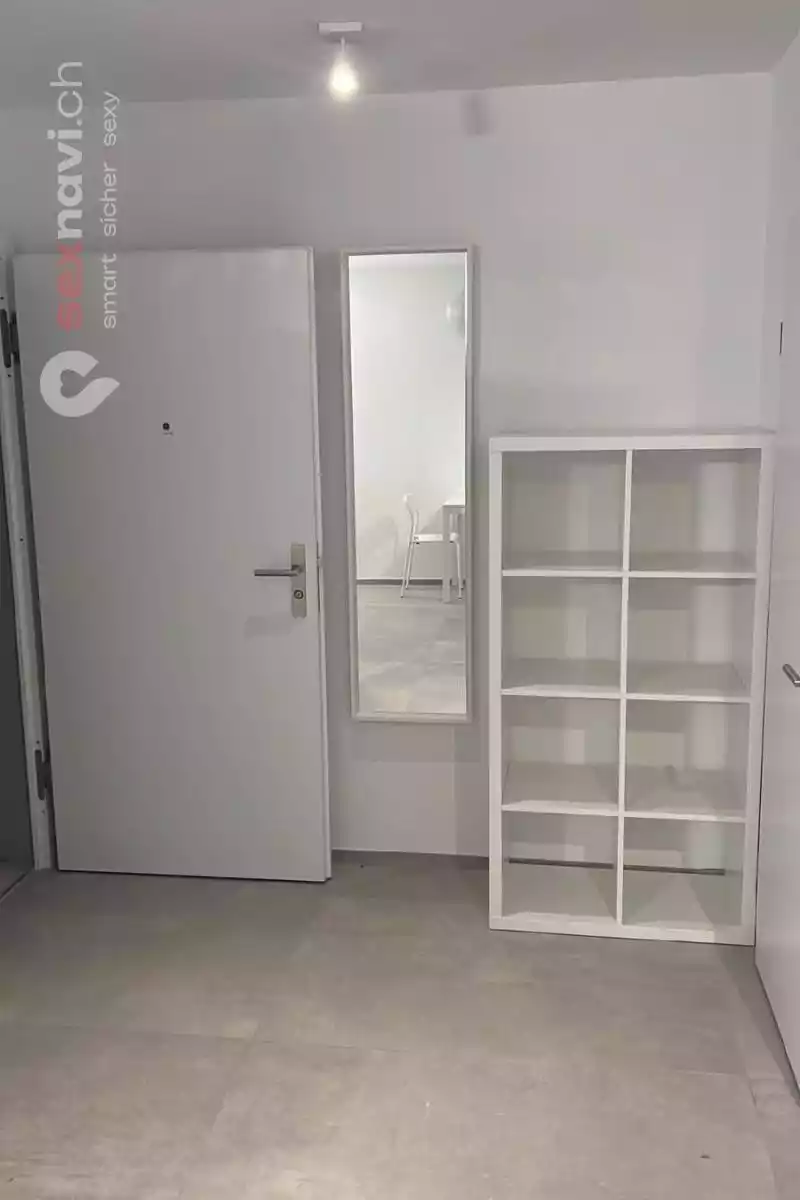 Wohnen und Arbeiten Top renovierte Wohnung Basel Basel, Basel, Schweiz