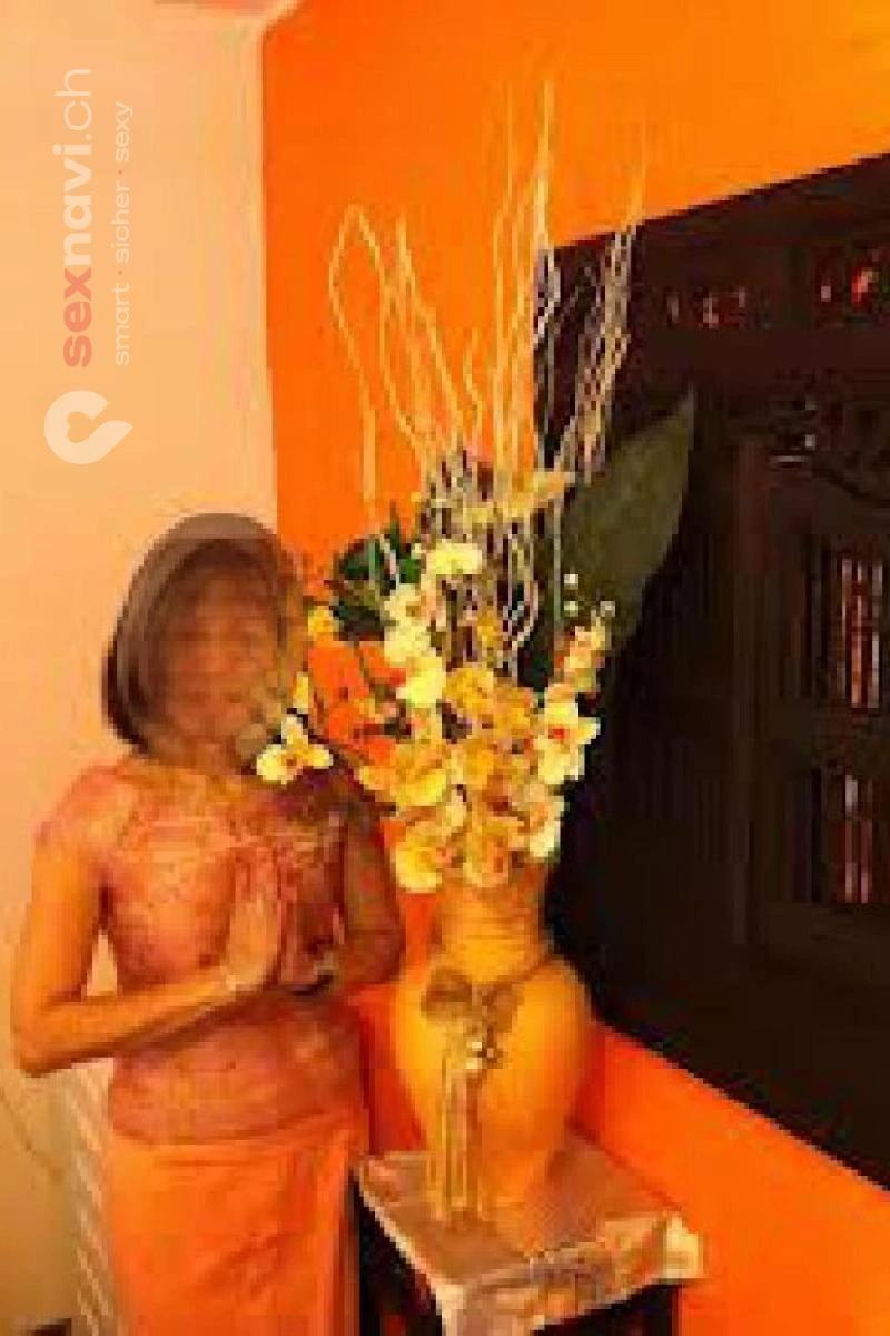 SIAM MASSAGE privat - erfahren - nett Z&uuml;rich Umgebung, Leibstadt, Aargau, Deutschland, Schweiz