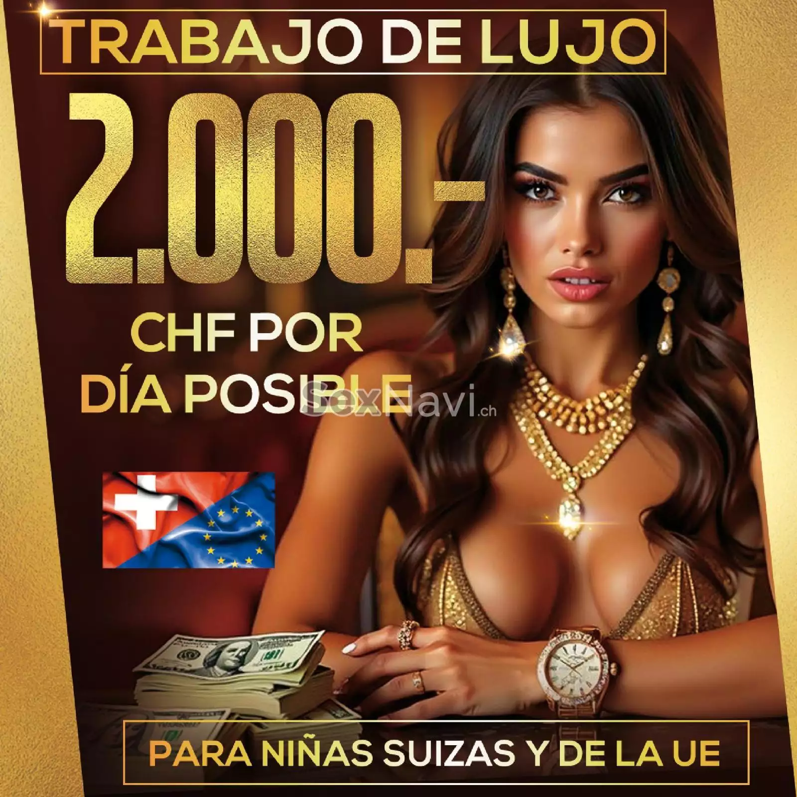 2.000,-/día posible Chicas suizas/UE Zürich Umgebung, Volketswil, Zürich Stadt, Aargau, Schweiz