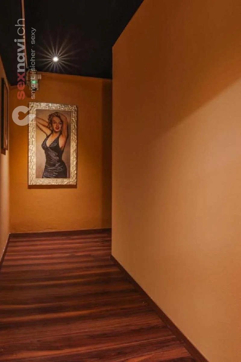 Privat Studio ❌ 2000-5000 CHF / Woche ❌ Luzern, Schweiz, Luzern