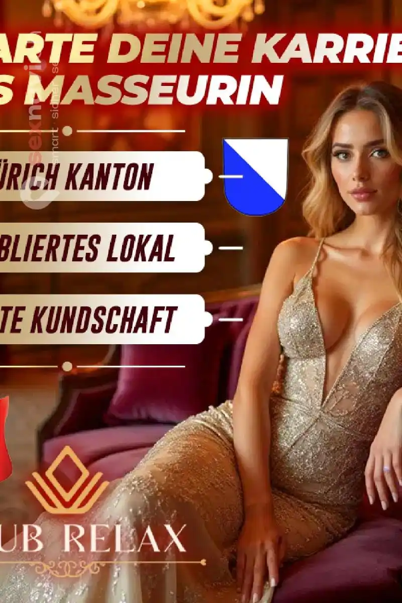 Zimmervermietung Hoher Verdienst in Z&uuml;rich Z&uuml;rich Umgebung, Volketswil, Z&uuml;rich Stadt, Aargau, Schweiz