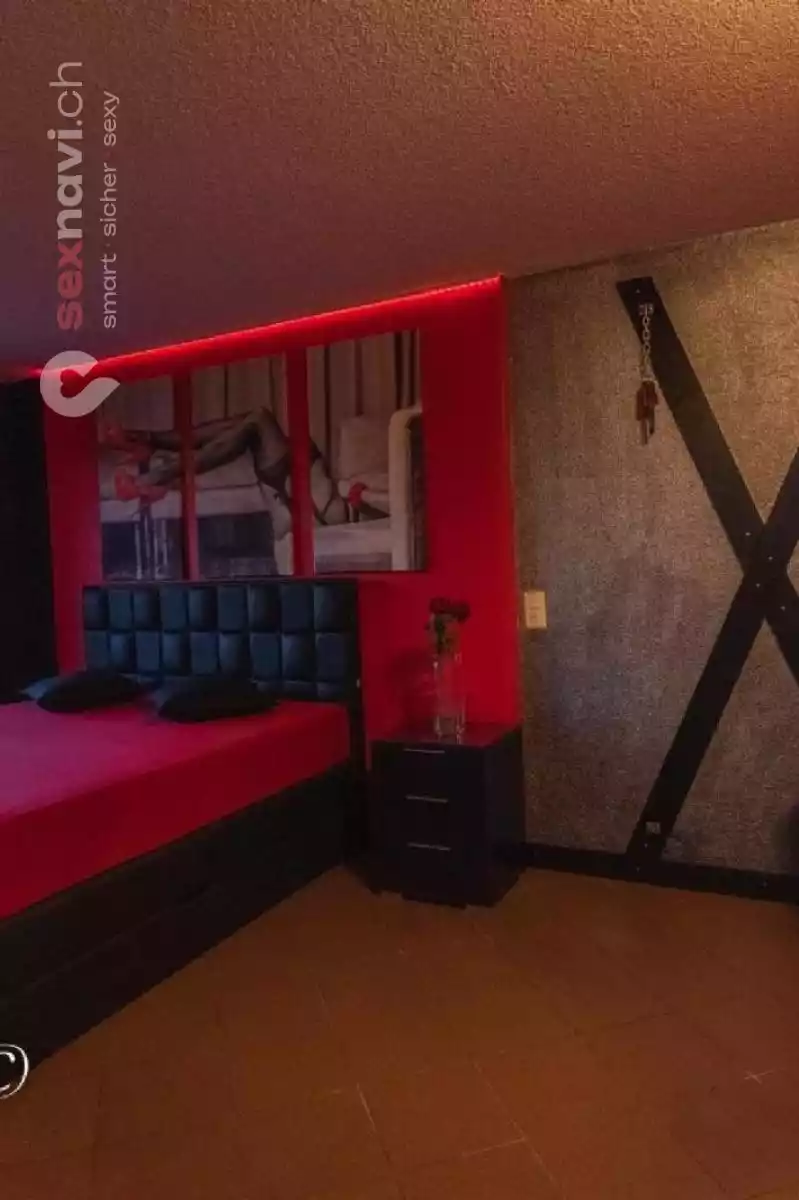 Winterthur / Zürich Prozent % Täglich auszahlung Zürich Umgebung, Winterthur, Deutschland, Schweiz