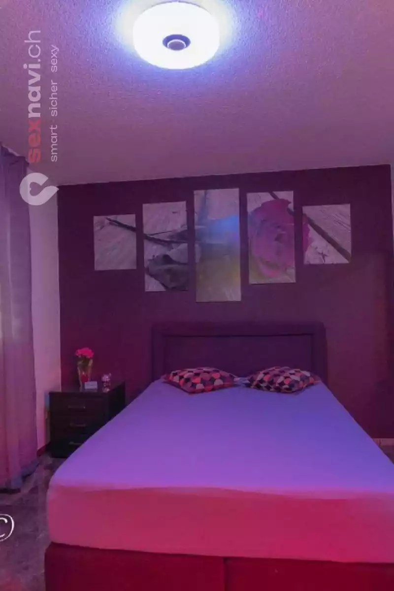 Winterthur / Zürich Prozent % Täglich auszahlung Zürich Umgebung, Winterthur, Deutschland, Schweiz