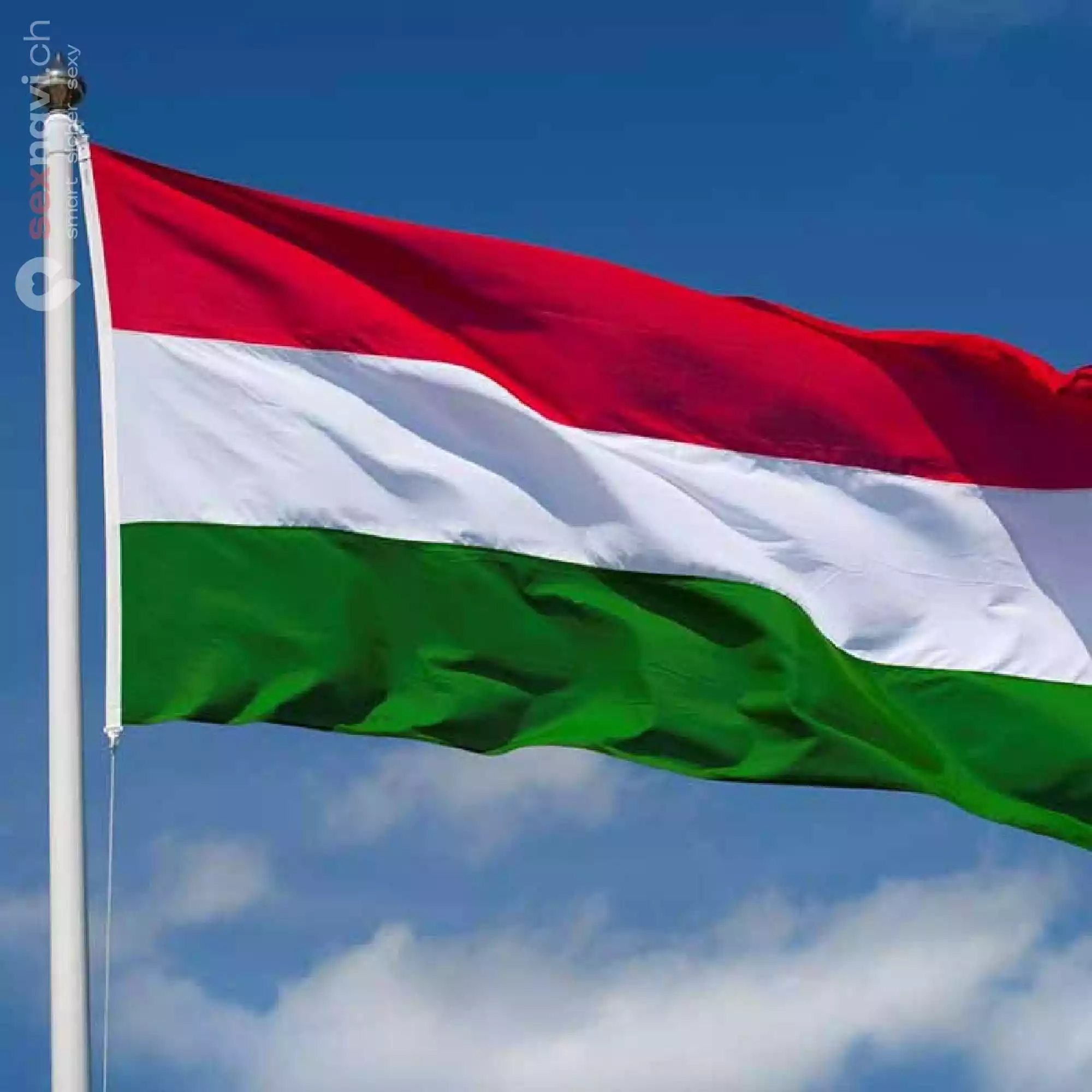 NINCS KÖLTSÉGED! Nagy ügyfélkör van Basel, Basel, Schweiz
