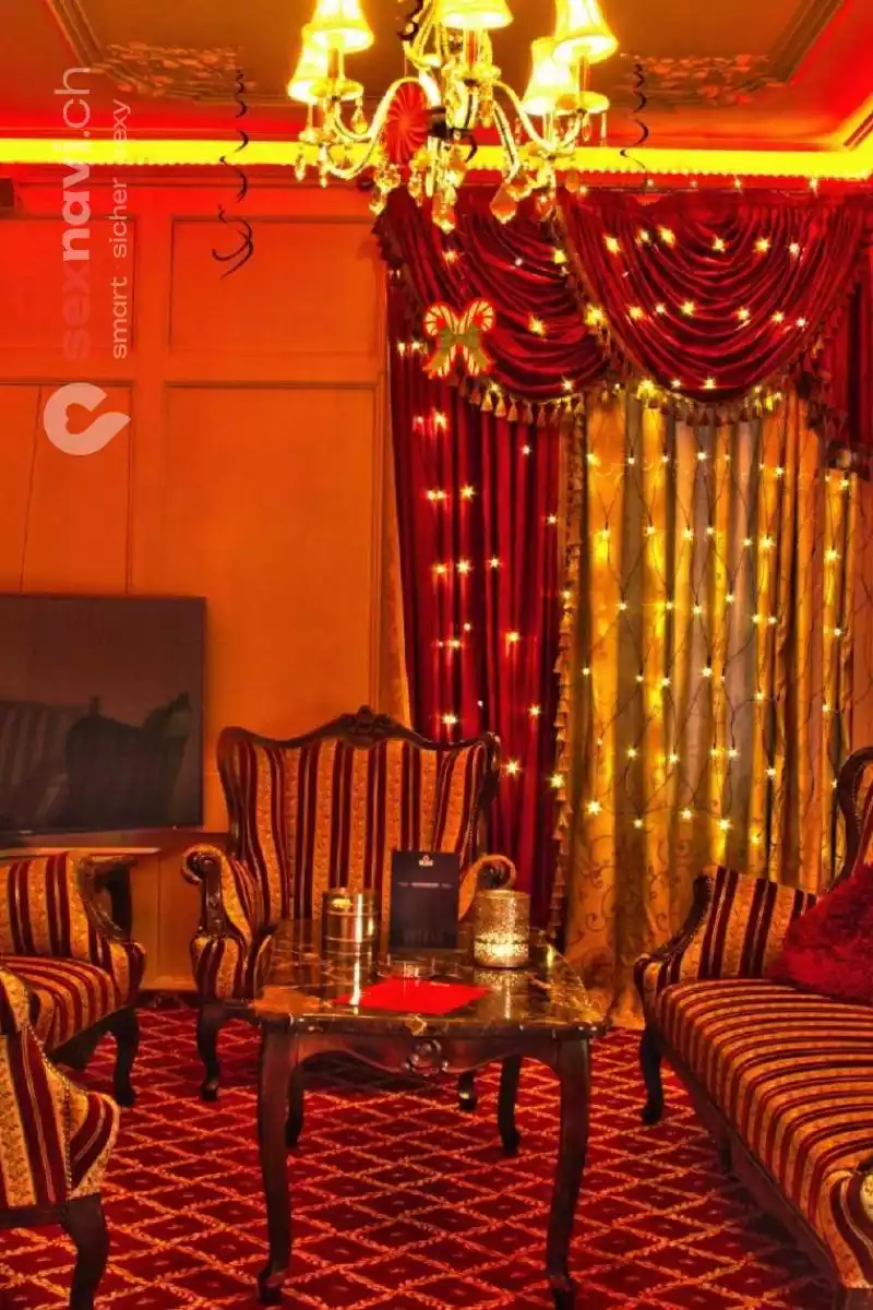 Top Job in der Villa 🌟 Gutes Geld verdienen 🌟 Zürich Umgebung, Schweiz, Wetzikon ZH