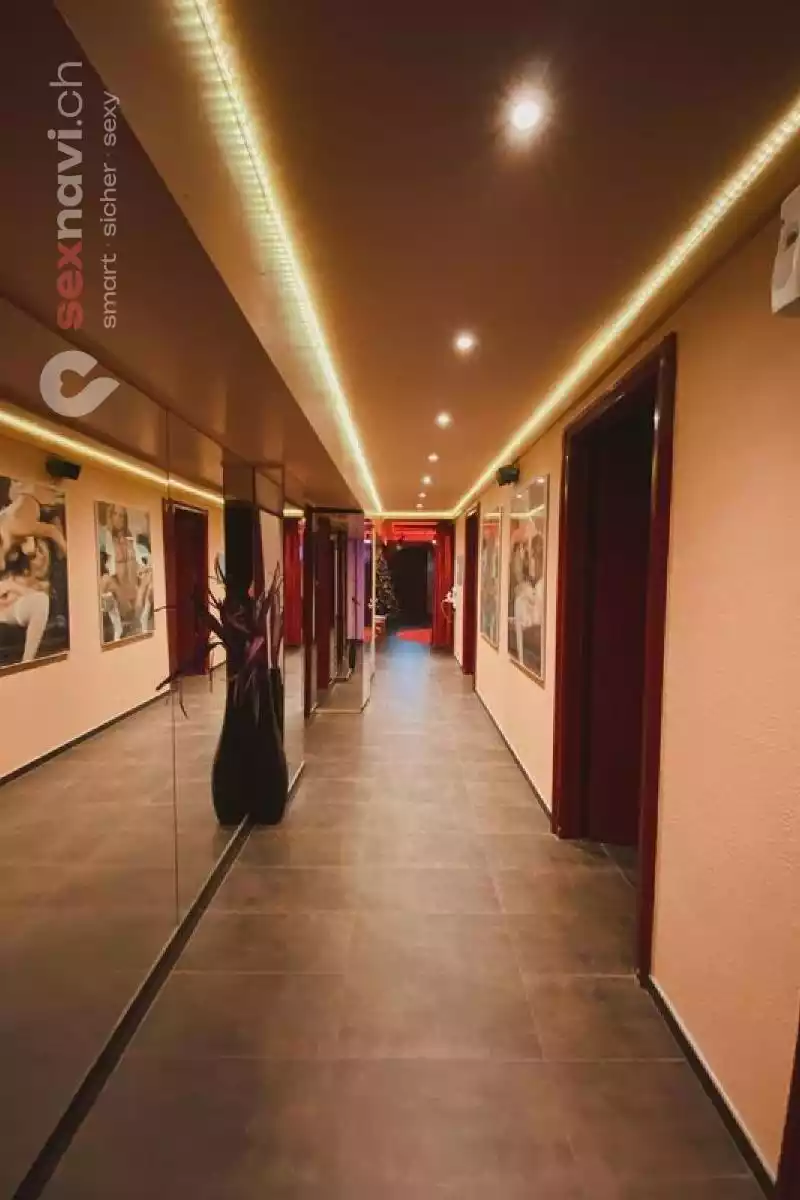 Great Job Offer 👑 Friendly enviroment👑 Zürich Umgebung, Zürich, Zürich Stadt, Aargau, Schweiz