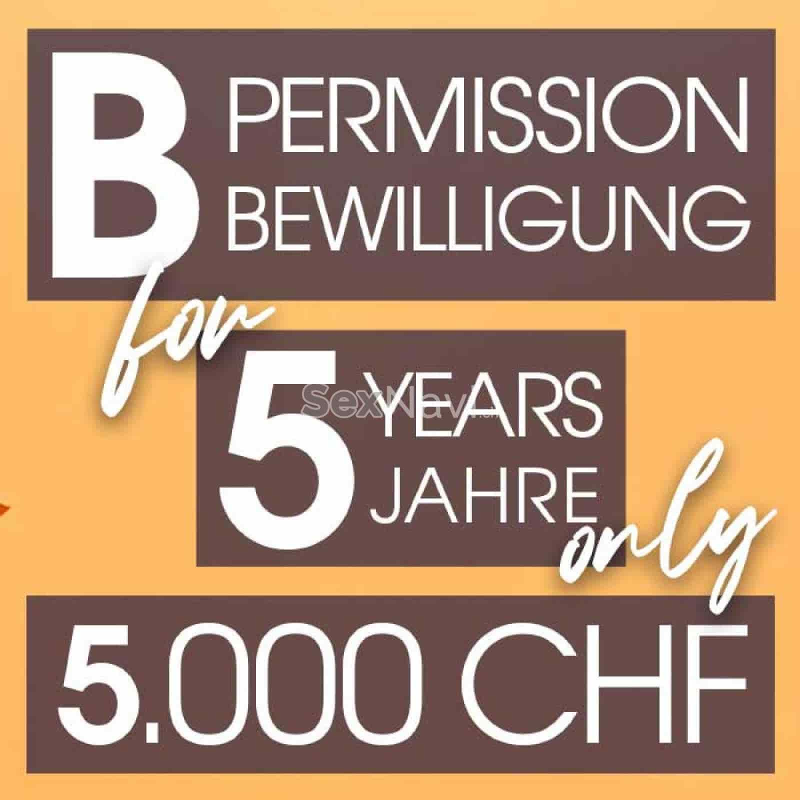 B-Bewilligung ❎ 5 Jahre B-Bewilligung ❎ Basel, Basel, Aargau, Schweiz