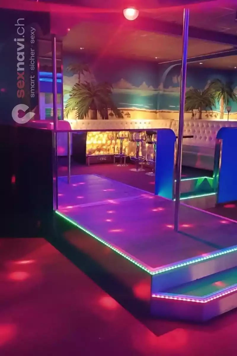 2.000,-/Tag möglich für Schweizer und EU Girls Zürich Umgebung, Volketswil, Zürich Stadt, Aargau, Schweiz